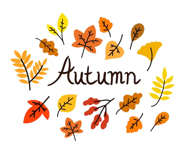 Vector autumn lettering postcard with flat leaves