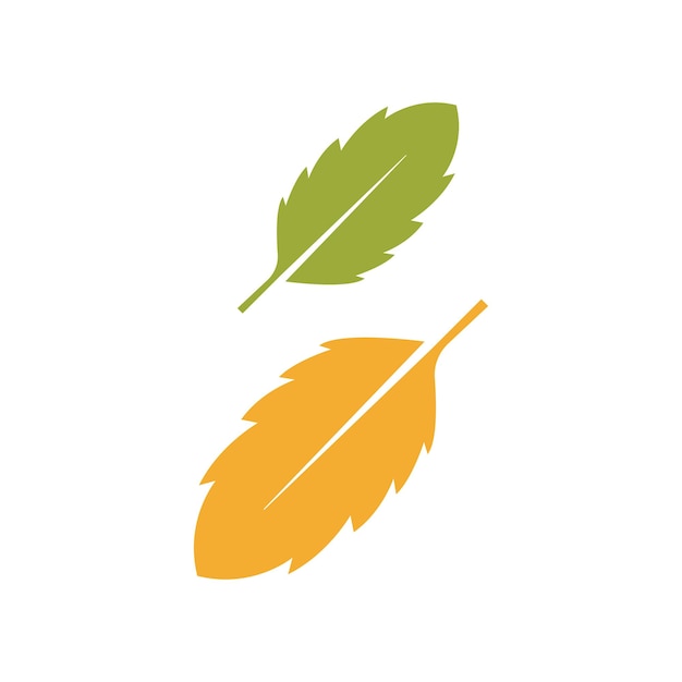 Autumn Maple leaf vector illustration design template