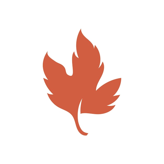 Autumn Maple leaf vector illustration design template