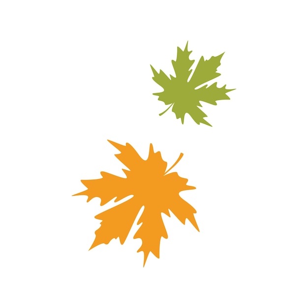 Autumn Maple leaf vector illustration design template