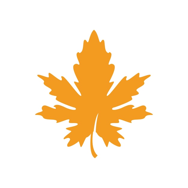 Autumn Maple leaf vector illustration design template