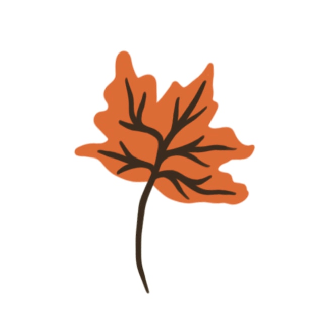 Autumn maple leaf vector on a white background