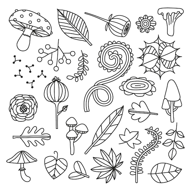 Autumn nature doodles vector illustration