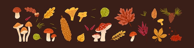 Autumn nature set with forest mushrooms dry leaves and berries Cute bundle of fall foliage fir cones leaf food and other autumnal design elements modern botanical flat vector illustration