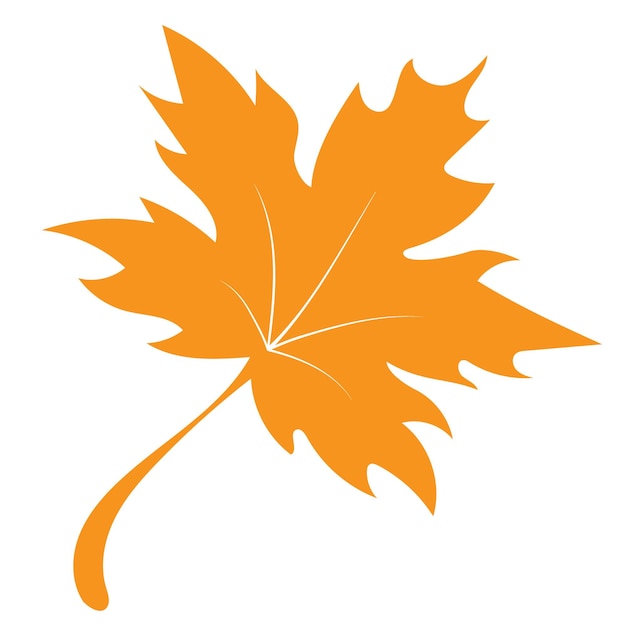 Autumn orange maple leaf vector illustration.