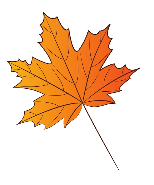 Autumn orange maple leaf with veins. Isolated object on a white background