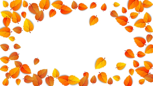 Autumn oval advertising banner with leaves isolated on white background for autumn fall sale