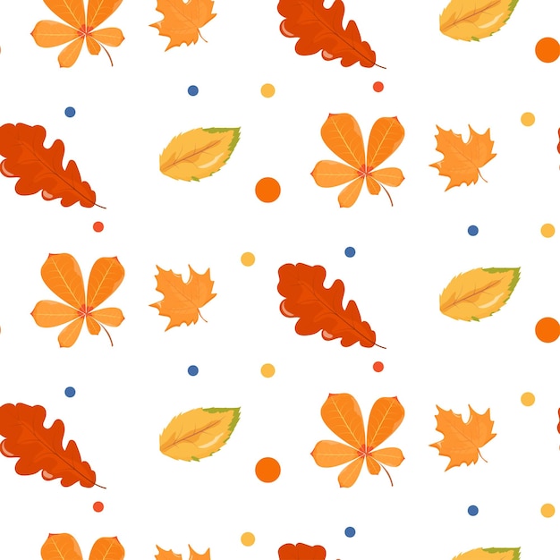 Autumn pattern set on white background