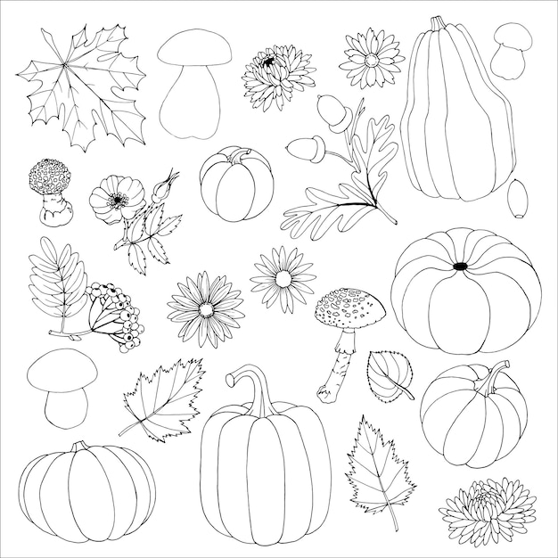 Autumn plants set Outline