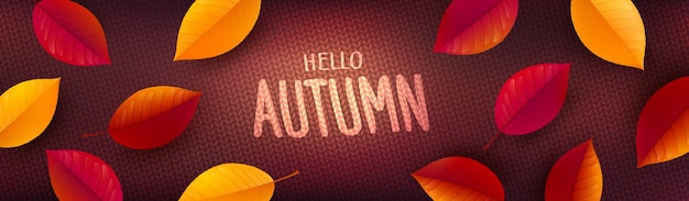 Autumn Poster or banner template with colorful Autumn leaves on knitted sweater background