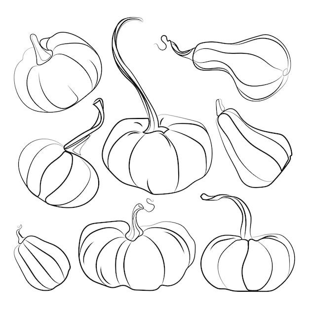 Autumn pumpkin Black line drawing icon set.Vector illustrationon white.Contour template