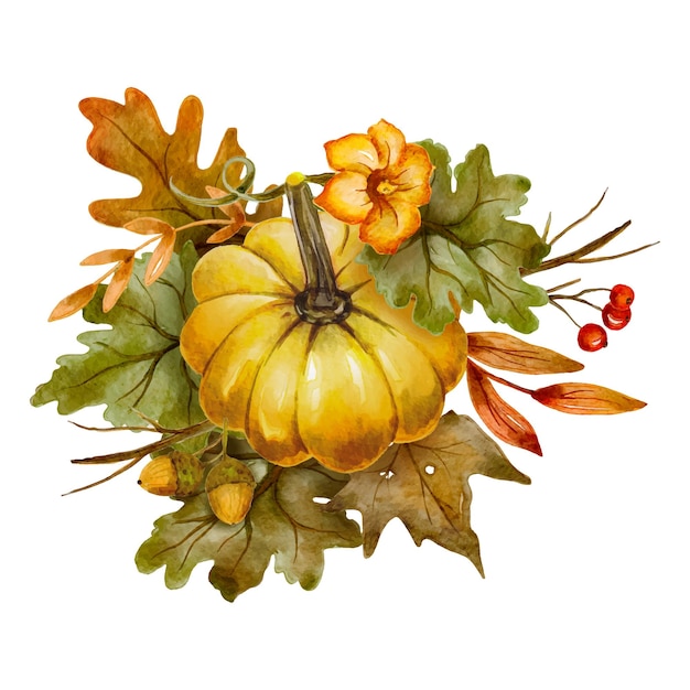 Autumn pumpkin and floral berry leaves, watercolor vector illustration, Thanksgiving day