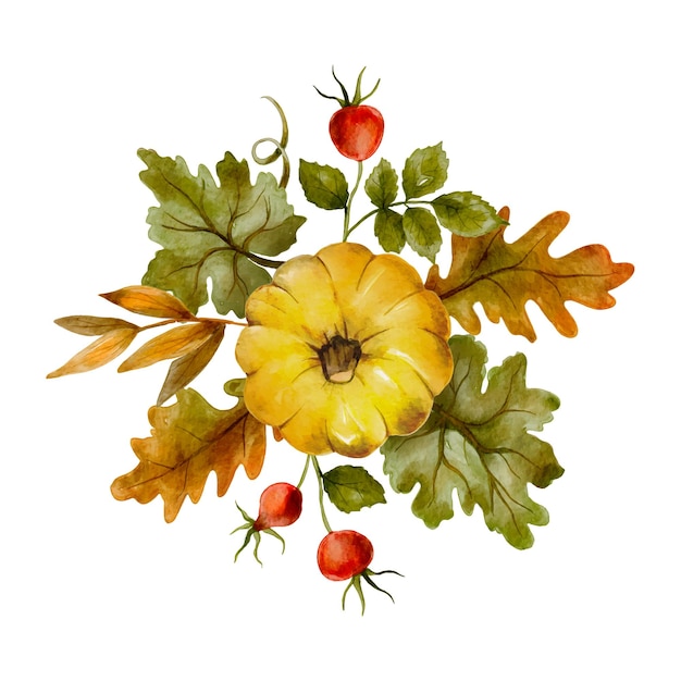 Autumn pumpkin and floral berry leaves, watercolor vector illustration, Thanksgiving day