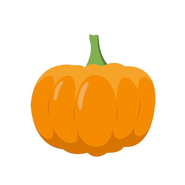 Autumn pumpkin Orange pumpkin for fall mood Isolated vector stock illustration EPS 10