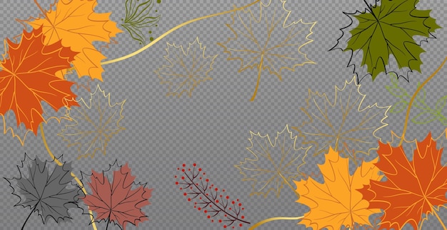 Autumn red and yellow maple leaves web template transparent background Vector