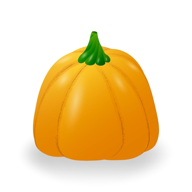 Autumn ripe pumpkin. Isolated on a white background. Vector illustration.