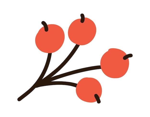 Autumn rowan branch Leaves and berries Vector hand drawn flat red berry