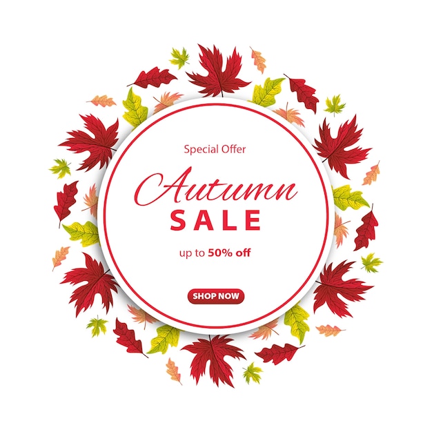 Autumn sale background