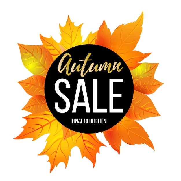 Autumn sale banner tamplate. Fall leaves flyer, poster, card, label design. Vector illustration EPS10