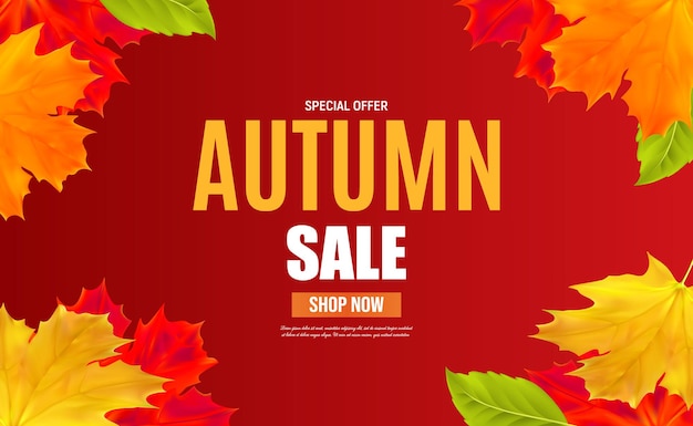 Autumn sale banner template with leaves for shopping sale, banner, poster. Vector illustration EPS10