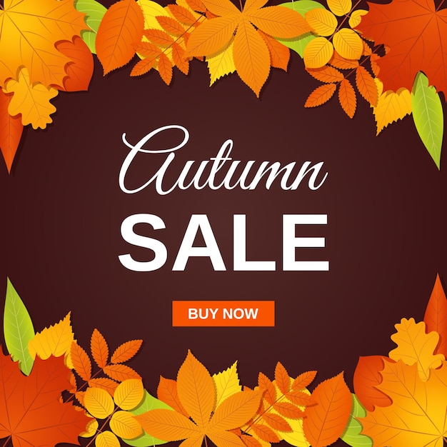 Autumn sale banner Vector illustration Flyer template with fall leaves