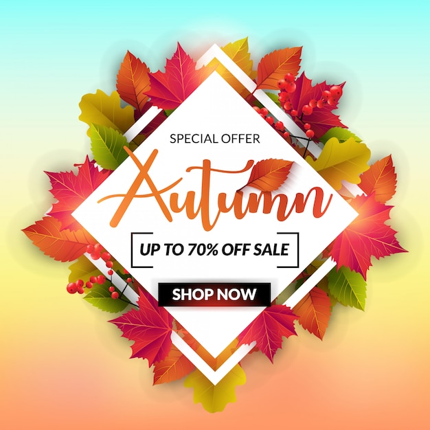 Autumn Sale banner With Colorful Leave