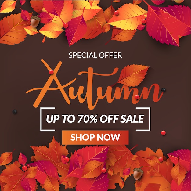 autumn sale banner with fall leaves