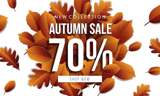 Autumn sale horizontal banner tamplate. Fall leaves flyer, poster, card, label design. Vector illustration EPS10