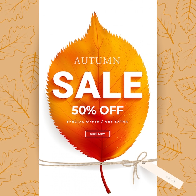 Vector autumn sale lettering banner. special offer discount with fall leaves.