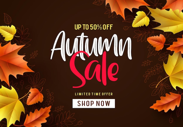 Autumn sale vector background Fall season banner design with autumn sale and discount text