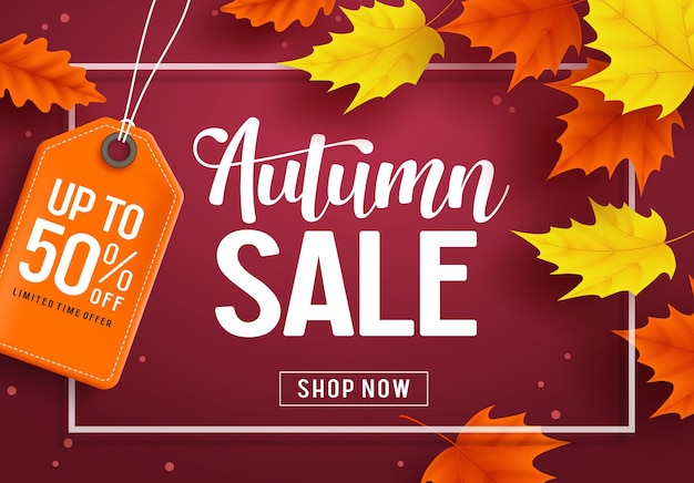 Autumn sale vector banner template with discount text and maple leaves elements in red background