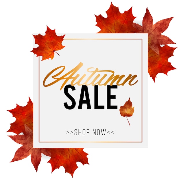 Autumn sale watercolor style