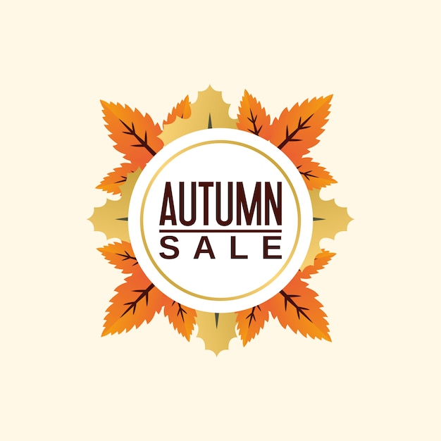 autumn sale 