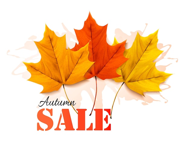 Autumn sales banner with colorful leaves. 