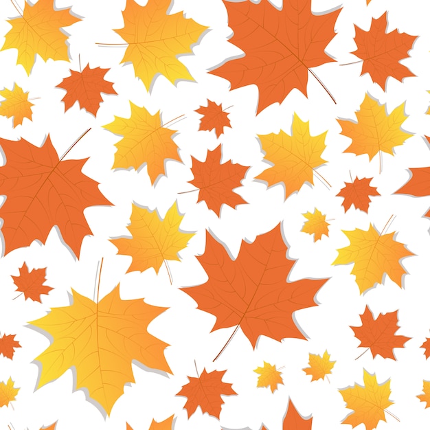 Autumn Seamless Pattern Yellow Maple Leaves Ornament Fall Season