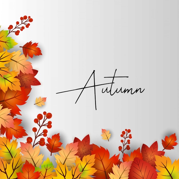 Autumn season design with light background vector