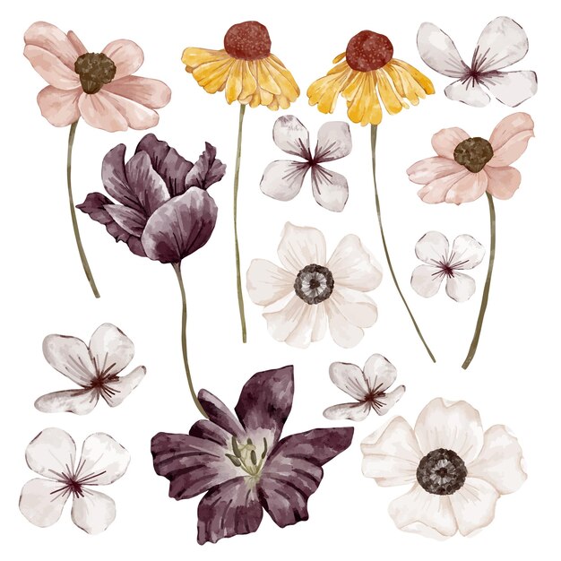 Vector autumn set of different flowers