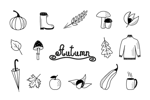 Autumn set of elements, fall vector objects, doodle style.