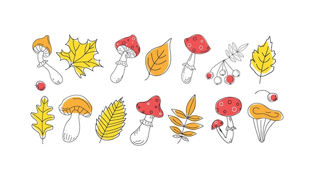 Vector autumn set leaves mushrooms