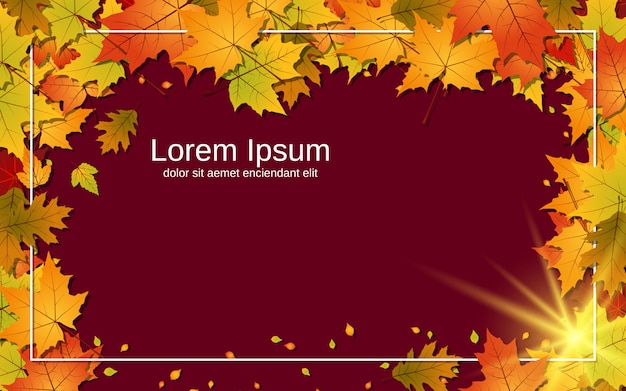 Autumn style  background with colorful leaves