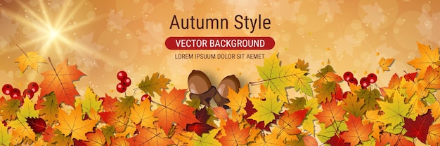 Autumn style elegant vector background