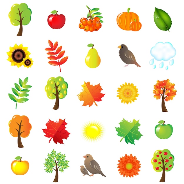 Autumn Symbols And Elements Isolated