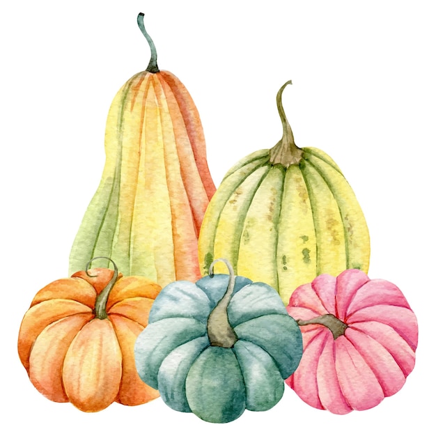 Autumn Thanksgiving Watercolor Pumpkins arrangement on white background