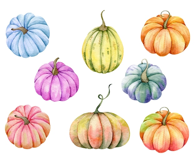 Autumn Thanksgiving Watercolor Pumpkins set on white background