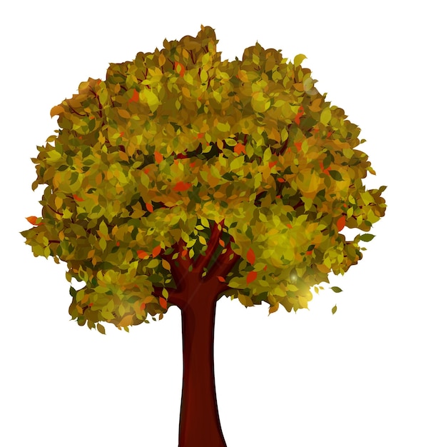 Vector autumn tree vector