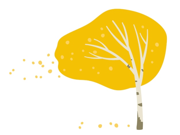 Autumn tree. Wind blows high. Wind blows yellow leaves off birch. Yellow leaves fall Isolated