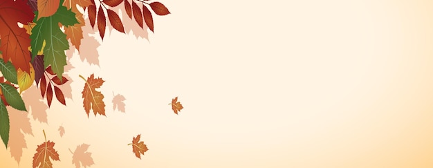 Autumn vector banners Colorful autumn leaves background