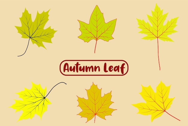 Autumn vector leaf