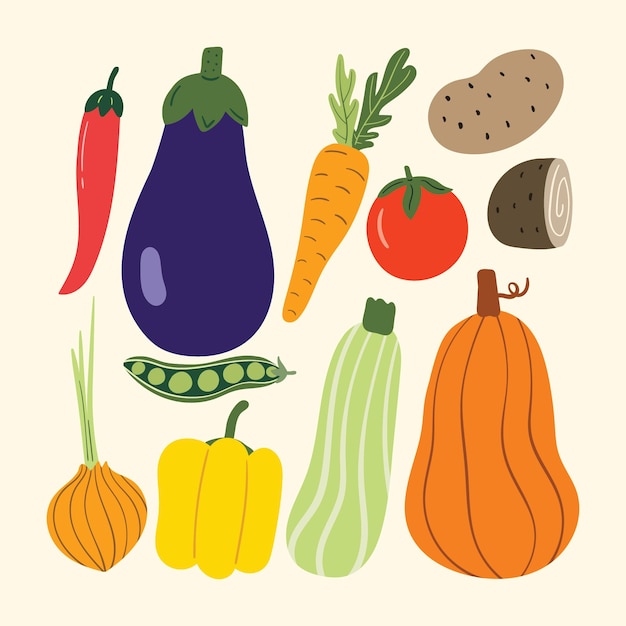 Autumn vegetables illustration