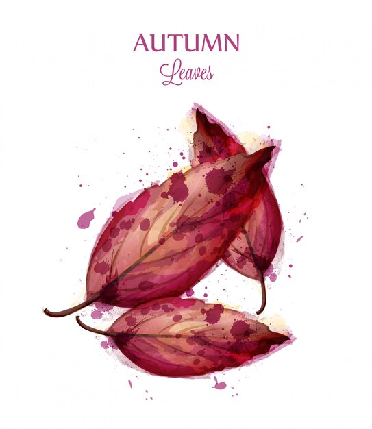 Autumn watercolor leaves